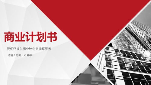 电子商务创业商业计划书模板 成功融资必看