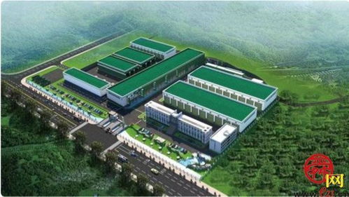 小地瓜做成大产业 记济南薯立方商业管理宋章峰的创业之路